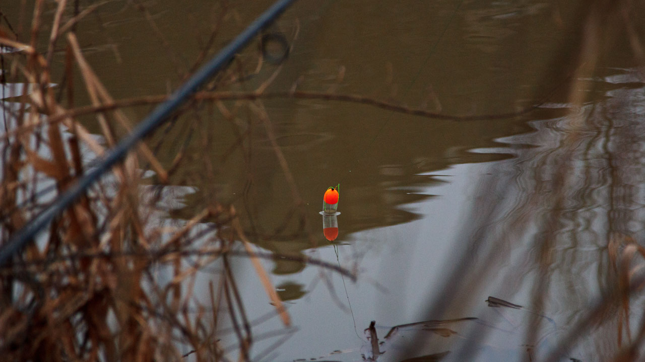 Pike float on the River Avon