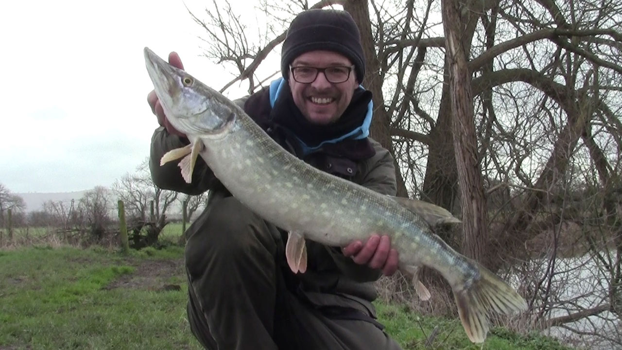 Pike from the Bristol Avon