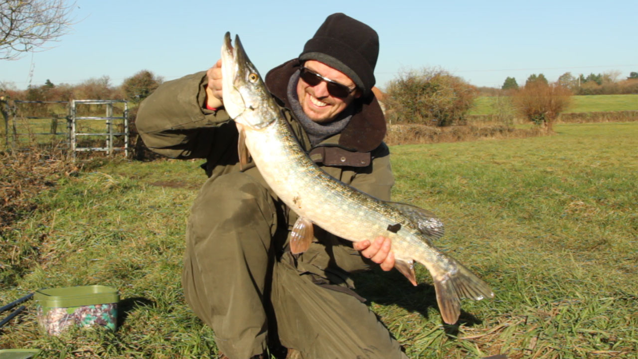 Bristol Avon pike in the sun