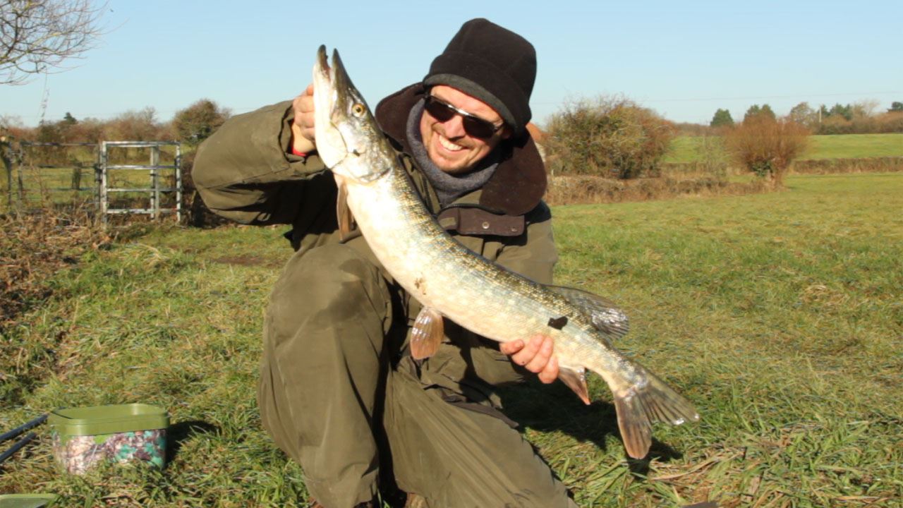Bristol Avon pike in the sun