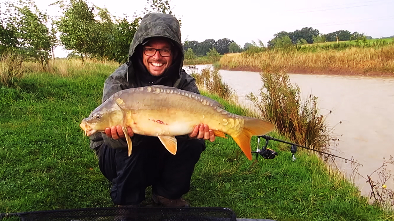 MIrror carp from Windmill Fishery carp lake