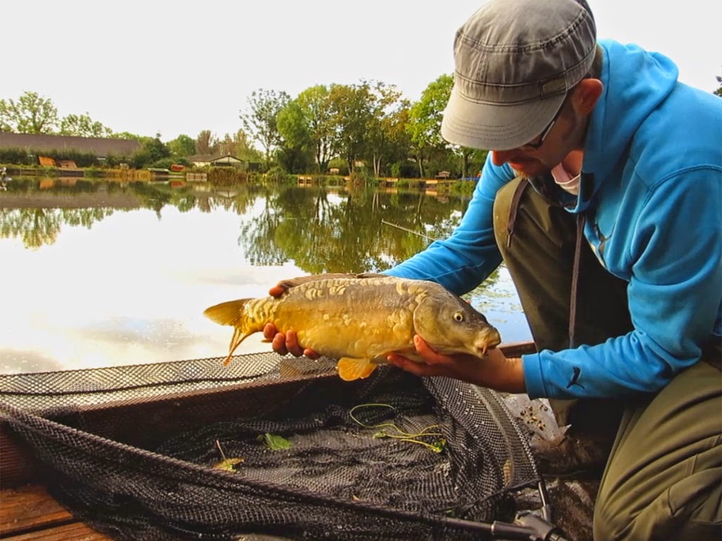 Mirror carp from Bitterwell Lake