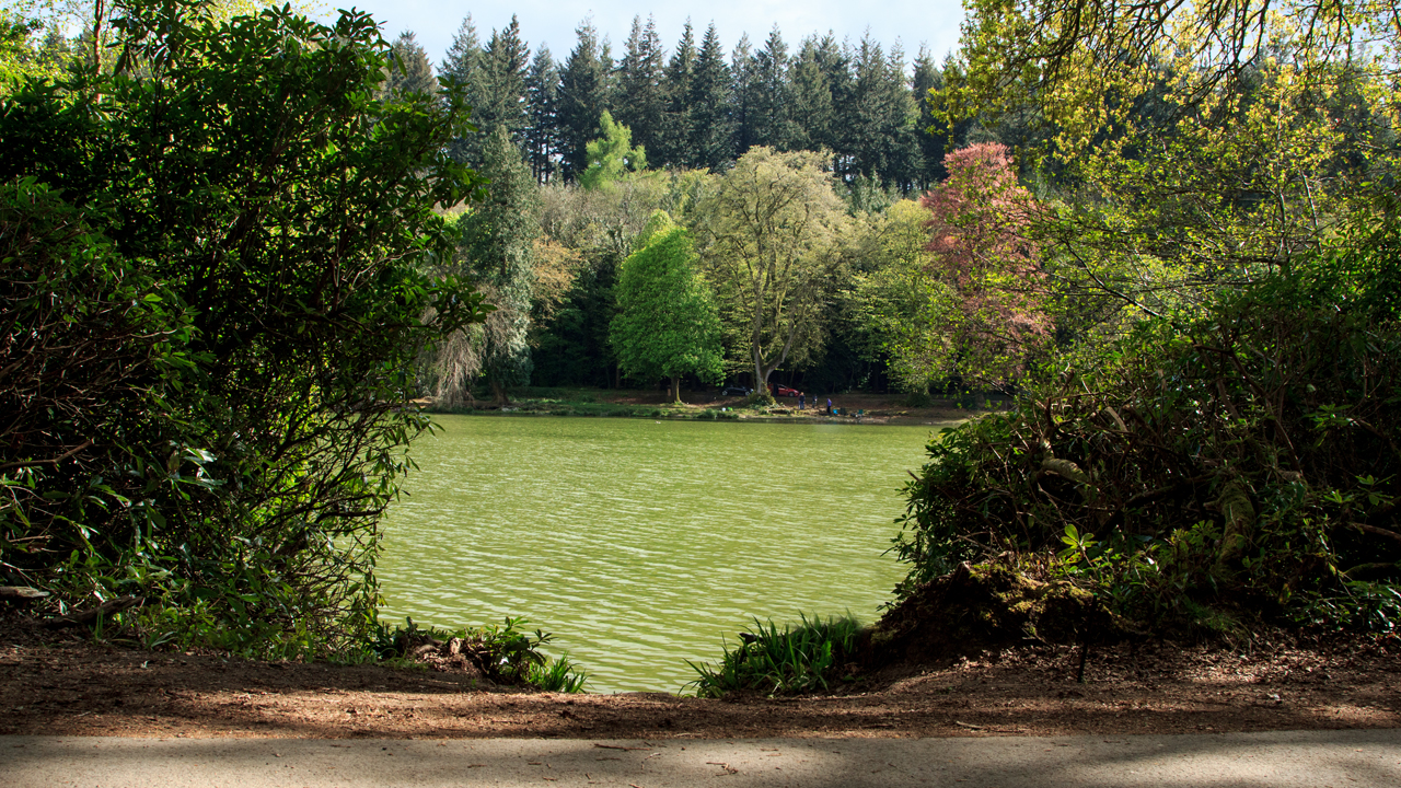 My swim at Shearwater