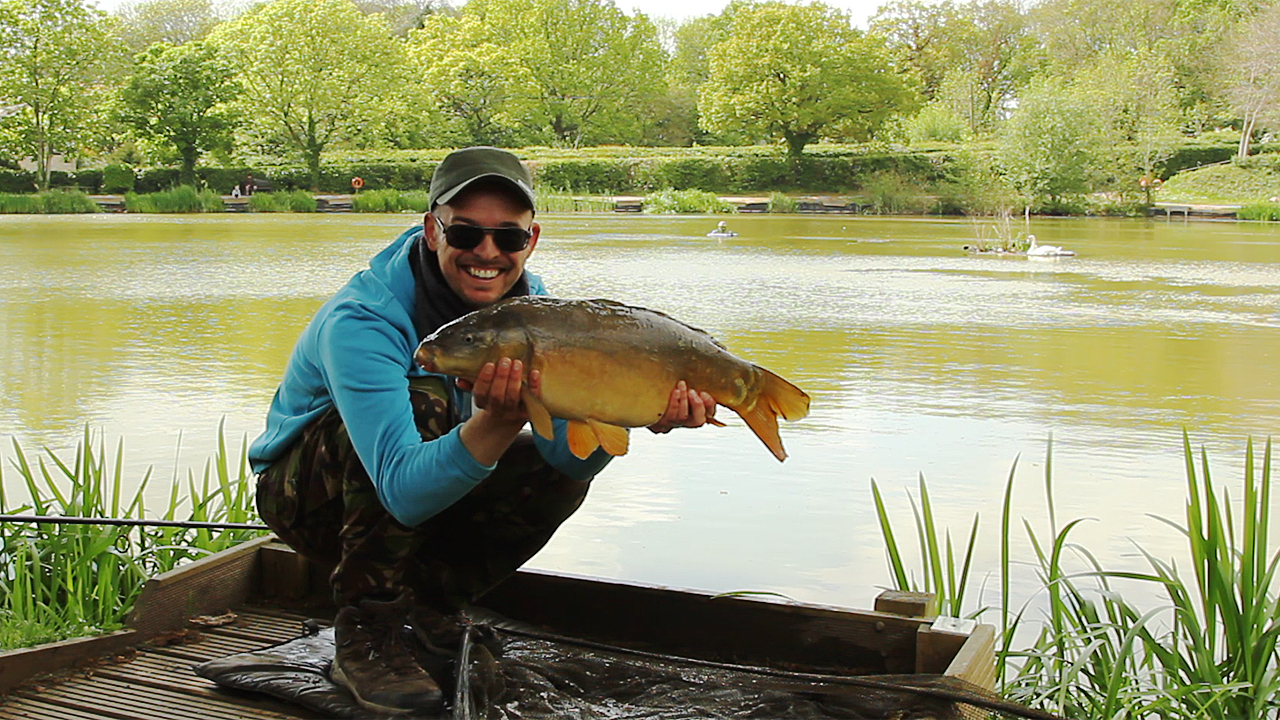 Mirror carp from Bitterwell Lake caught on a zig