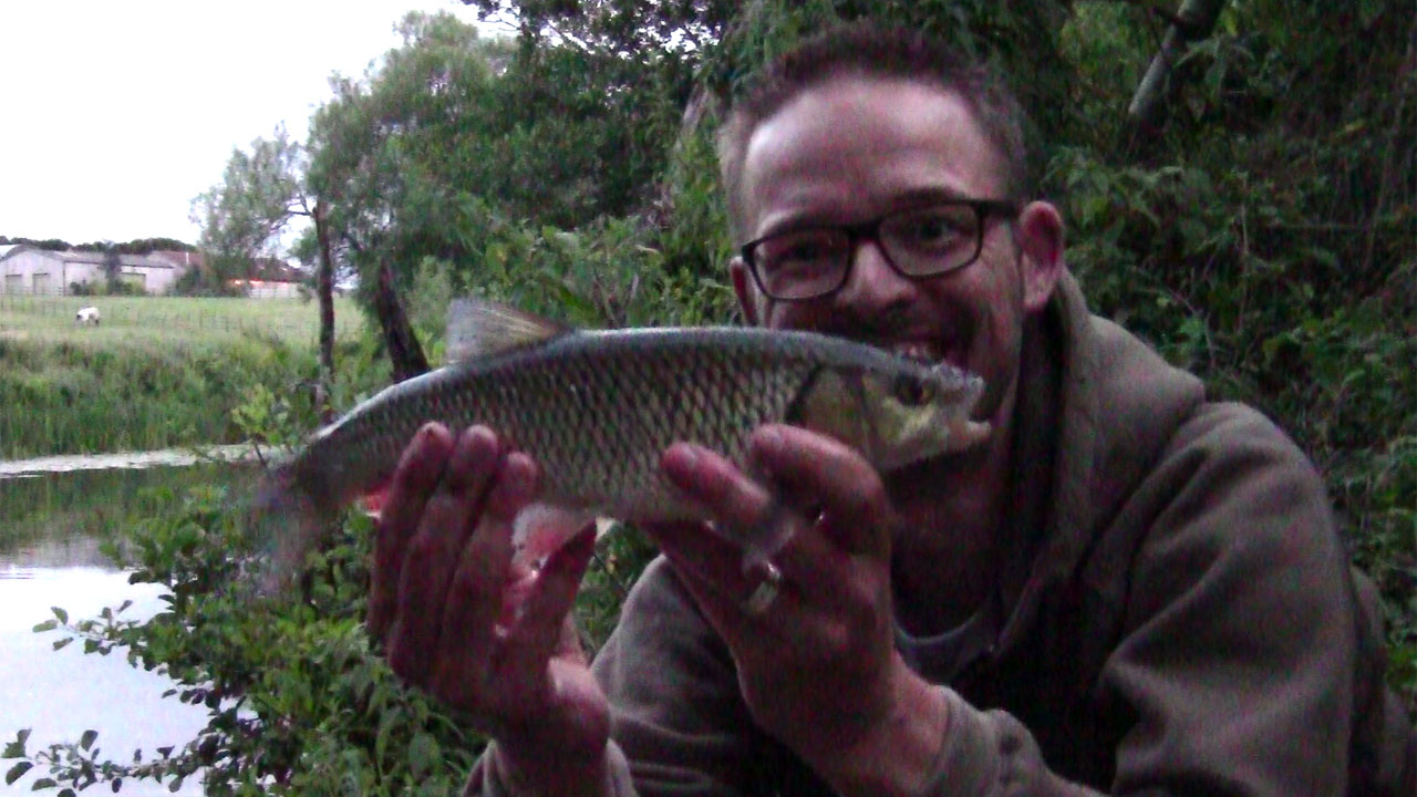 River Avon Chub caught at Swineford