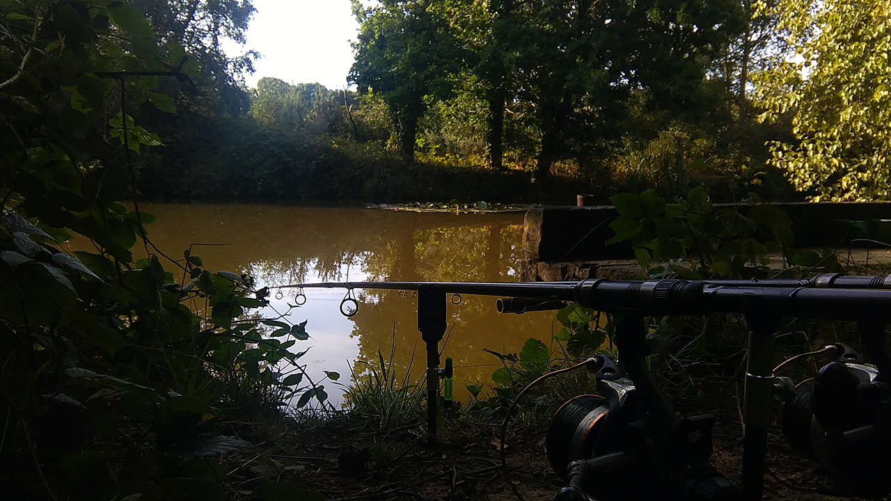 Wylands Old Specimen Lake