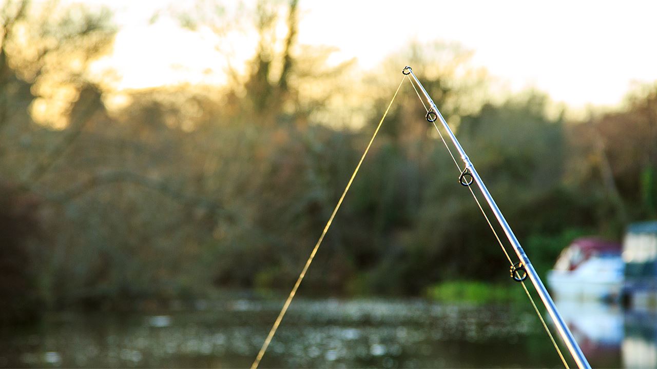 Waiting for the bite that never came...