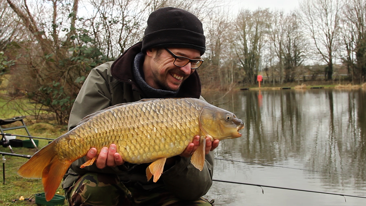 Common carp caught at the Holiday Inn Lake
