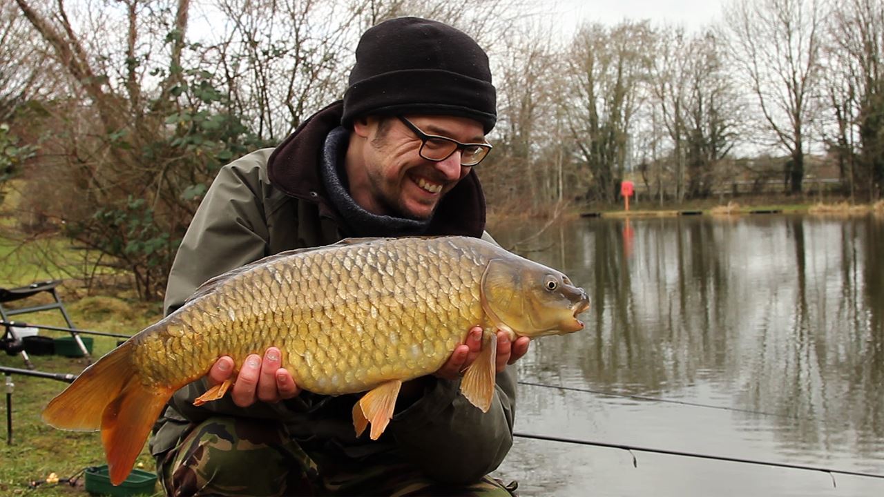 Common carp caught at the Holiday Inn Lake
