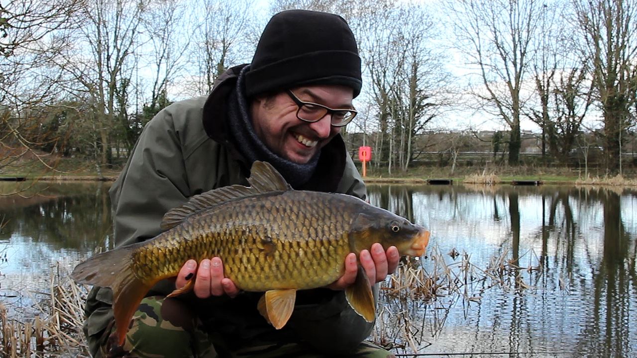 Common carp caught at the Holiday Inn Lake