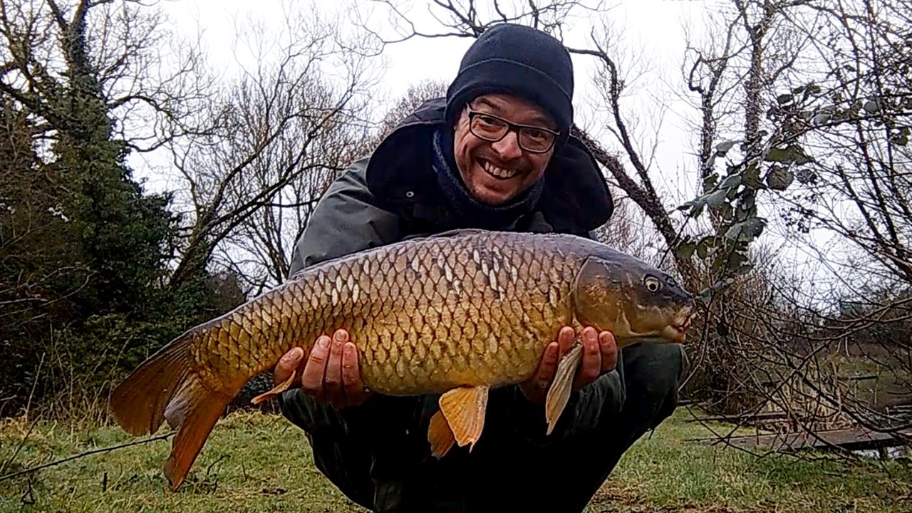 Common carp caught at the Holiday Inn Lake