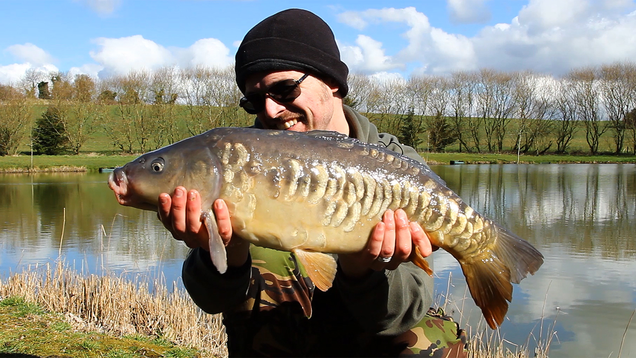 Mirror carp caught from Hunters Lake