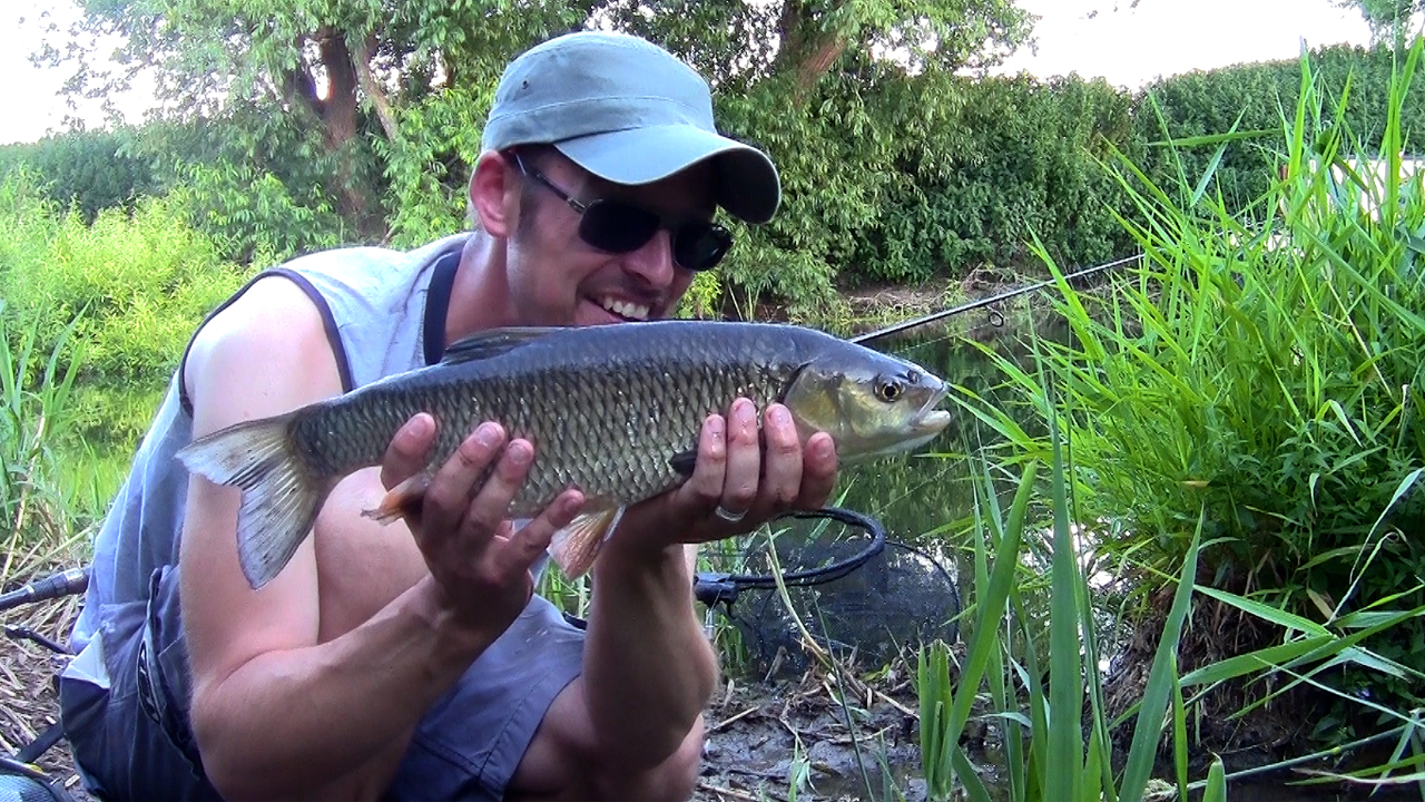 Chub caught from the Bristol River Avon at Swineford