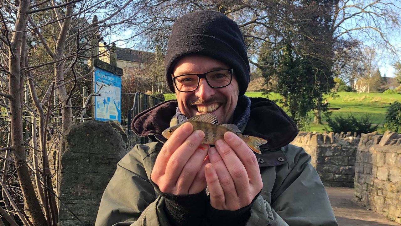 Perch caught from the River Chew at Keynsham