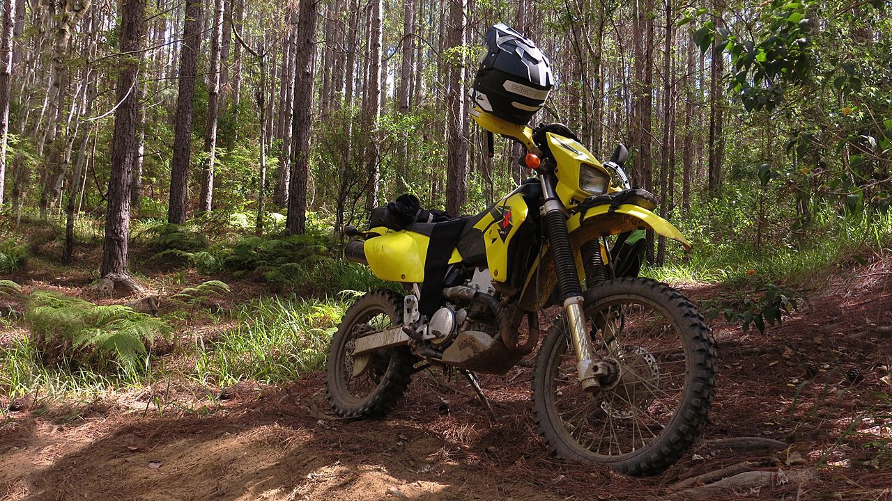 Drz400 In The Bush