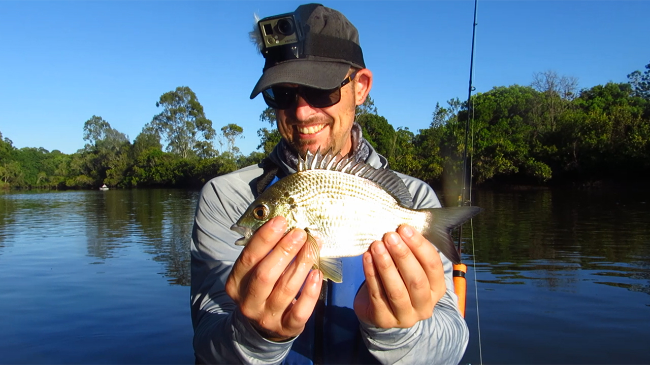Bream caught at 'The Local' river