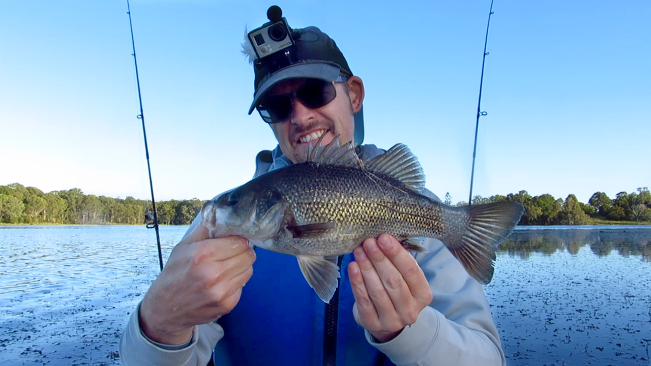 01 Bass Caught At Lake Kurwongbah