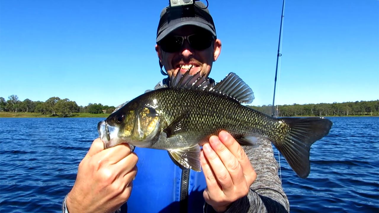 Bass caught at Lake Kurwongbah