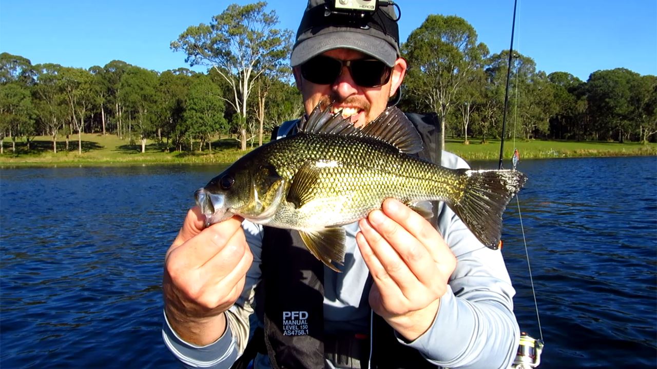 Bass caught at Lake Kurwongbah
